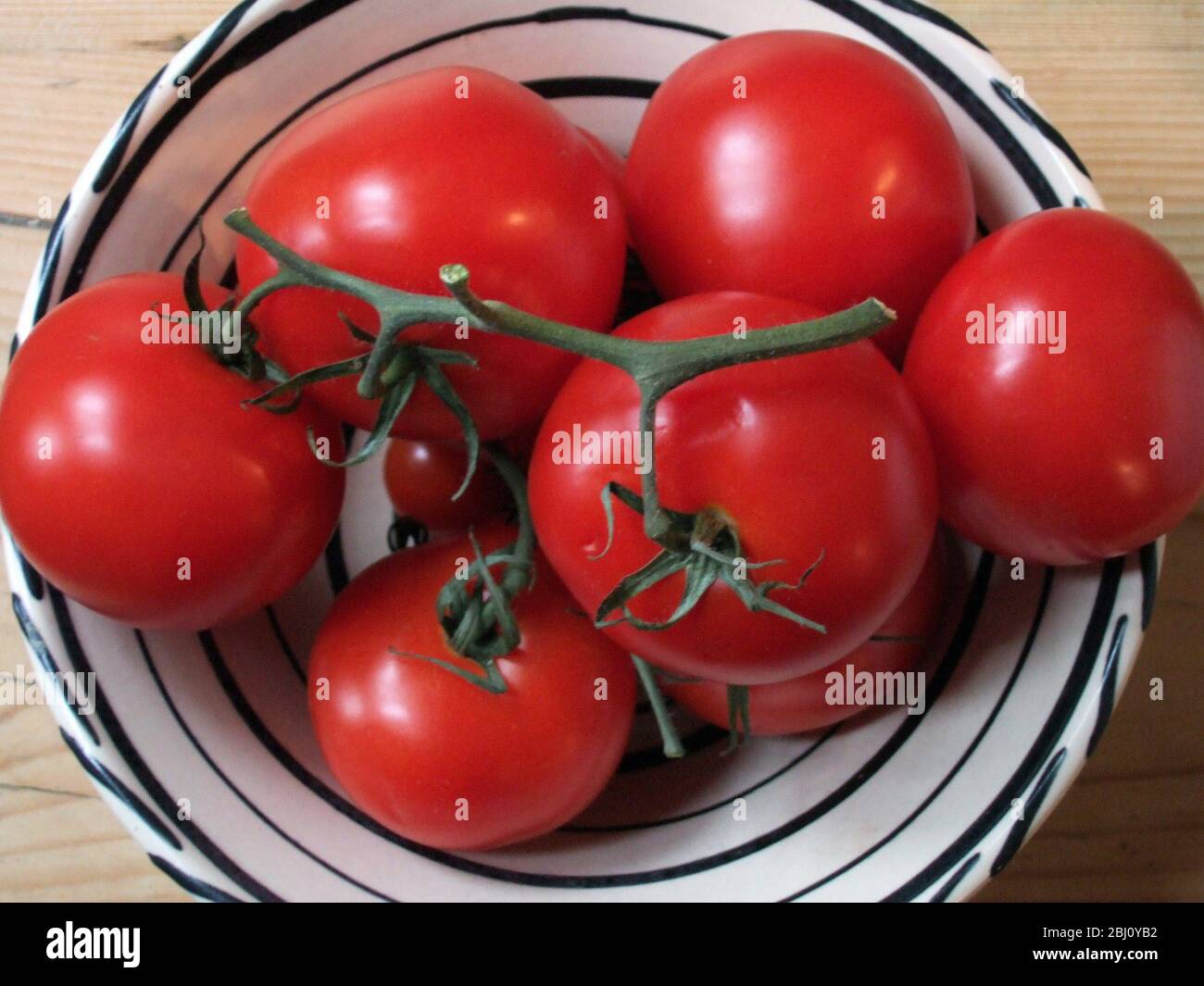 Große rote Tomaten auf der Rebe in schwarz-weiß Keramik-Schüssel - Stockfoto
