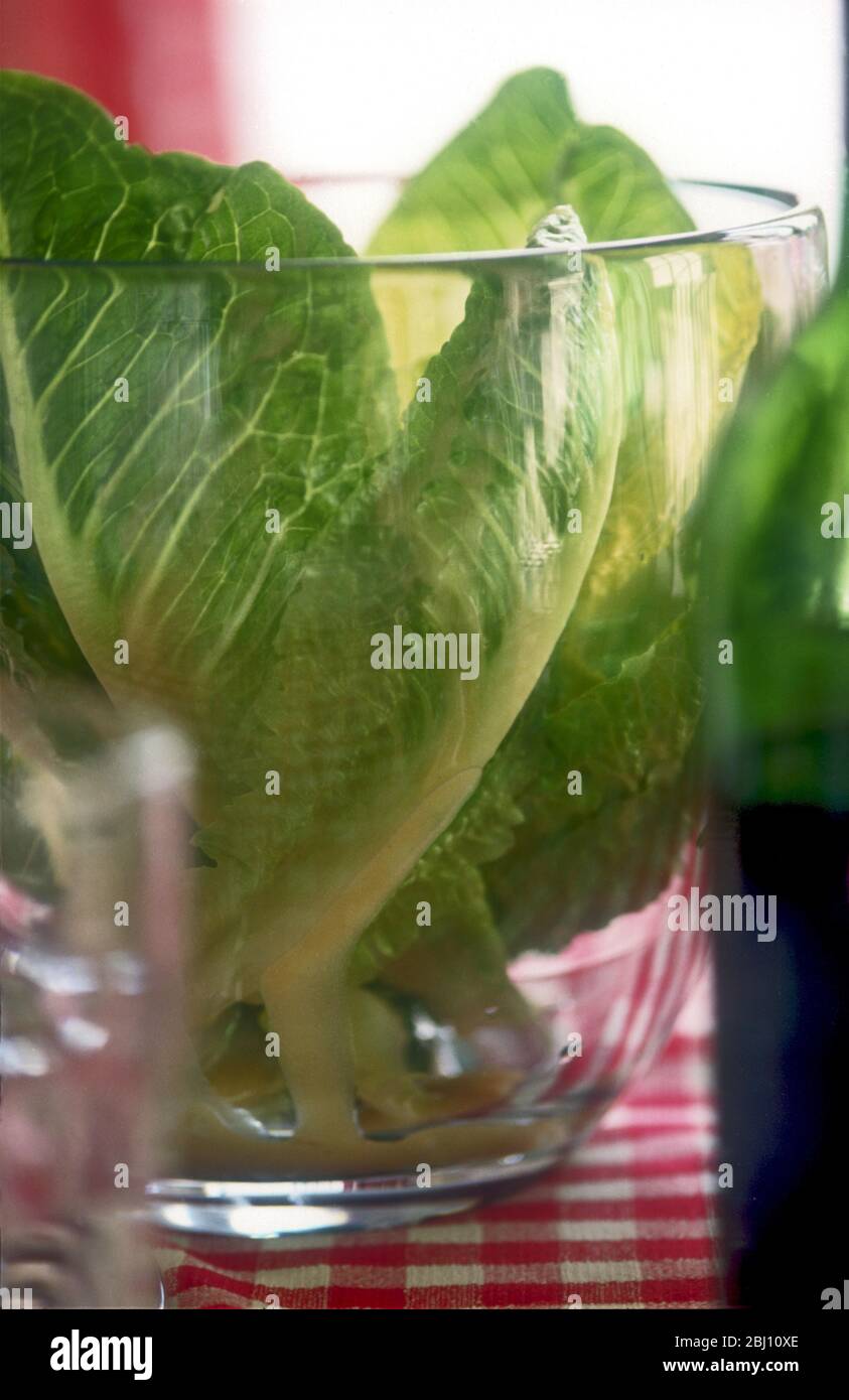 COS Salat in großer Glas Salatschüssel auf Tisch-Einstellung mit rotem Karo-Tischtuch und Flasche Wein - Stockfoto