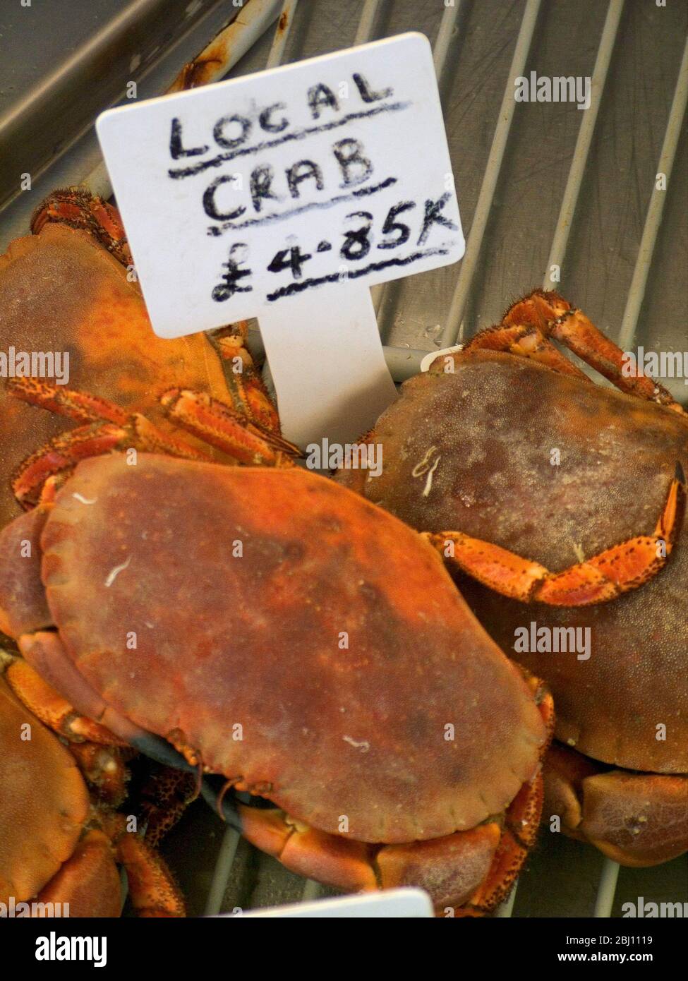 Krabbe zum Verkauf im Fenster des West Bay Fischgeschäft. Dorset England. - Stockfoto