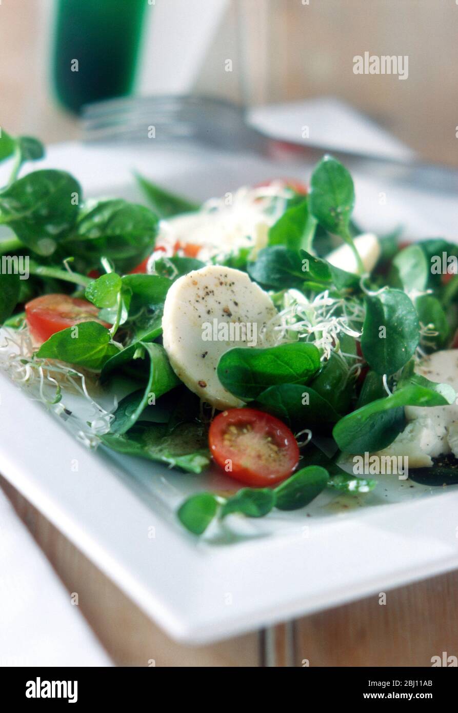 Salat aus Mozzarella, Brunnenkresse, Kirschtomaten und geriebenem Parmesan - Stockfoto