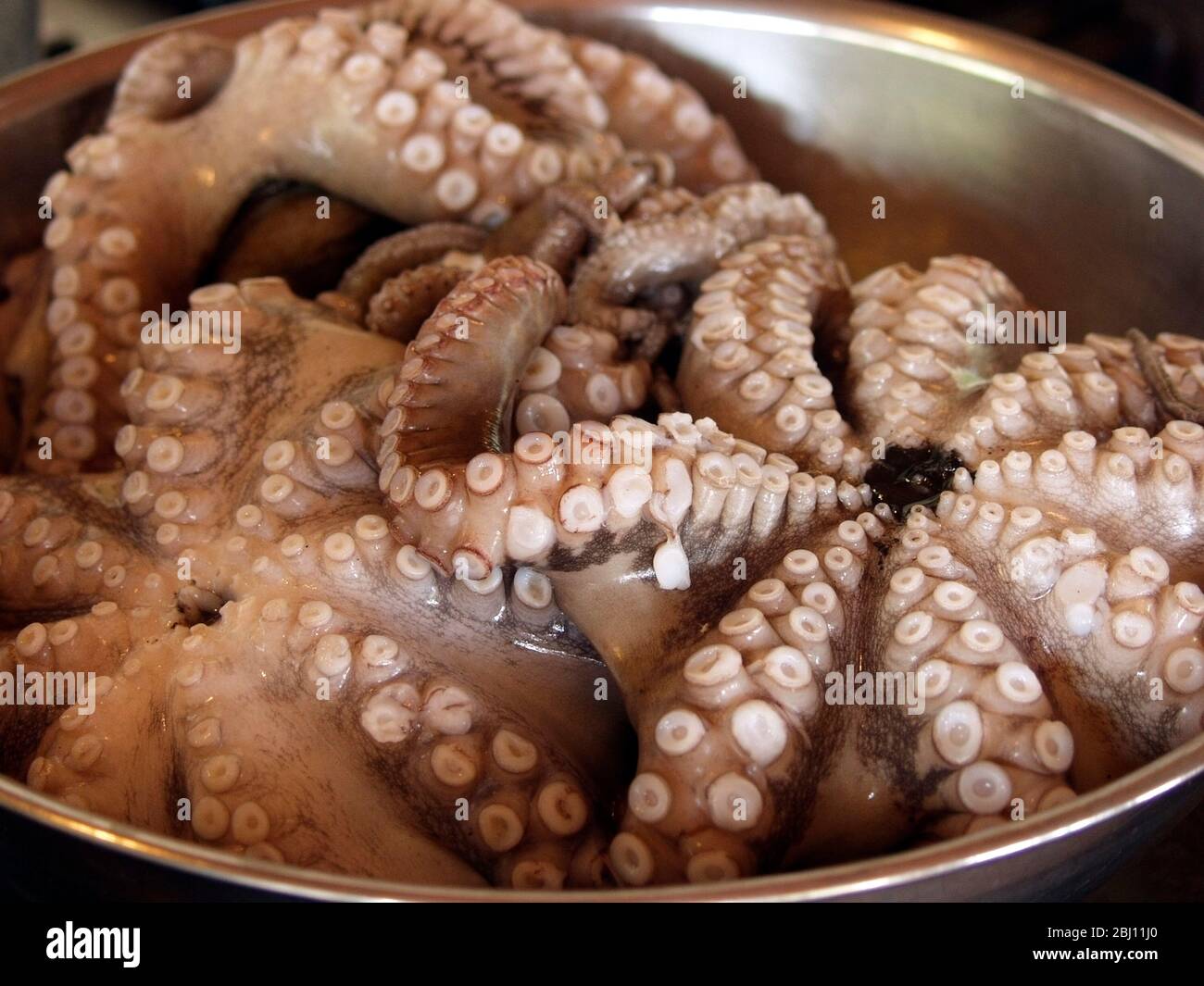 Schüssel Krake bereit zur Vorbereitung für italienische Rezept - Stockfoto