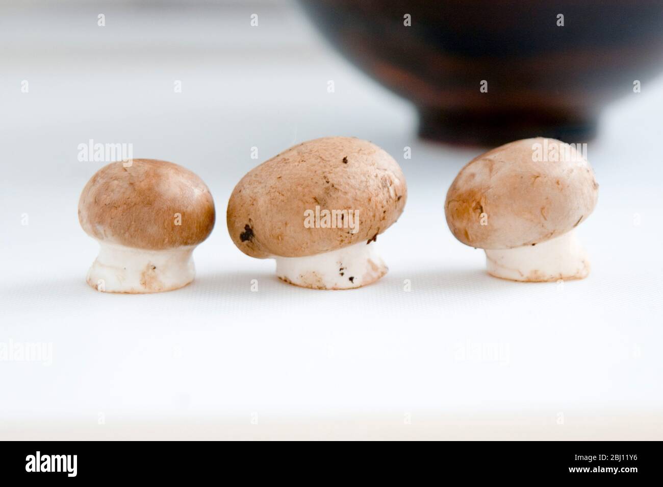 Champignons mit Crimini-Knopf - Stockfoto