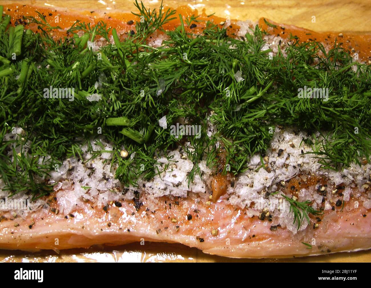 Schwedisches traditionelles Gericht, Gravlax in Vorbereitung - Stockfoto