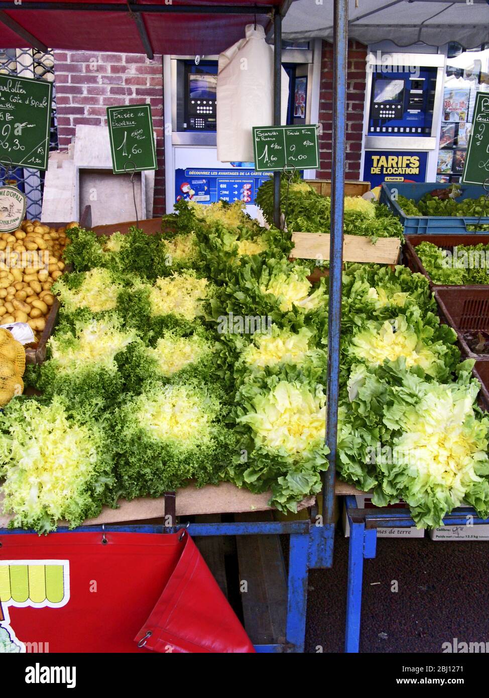 Französischer Marktstand mit Eskarolensalat. Nordfrankreich, Hesdin - Stockfoto
