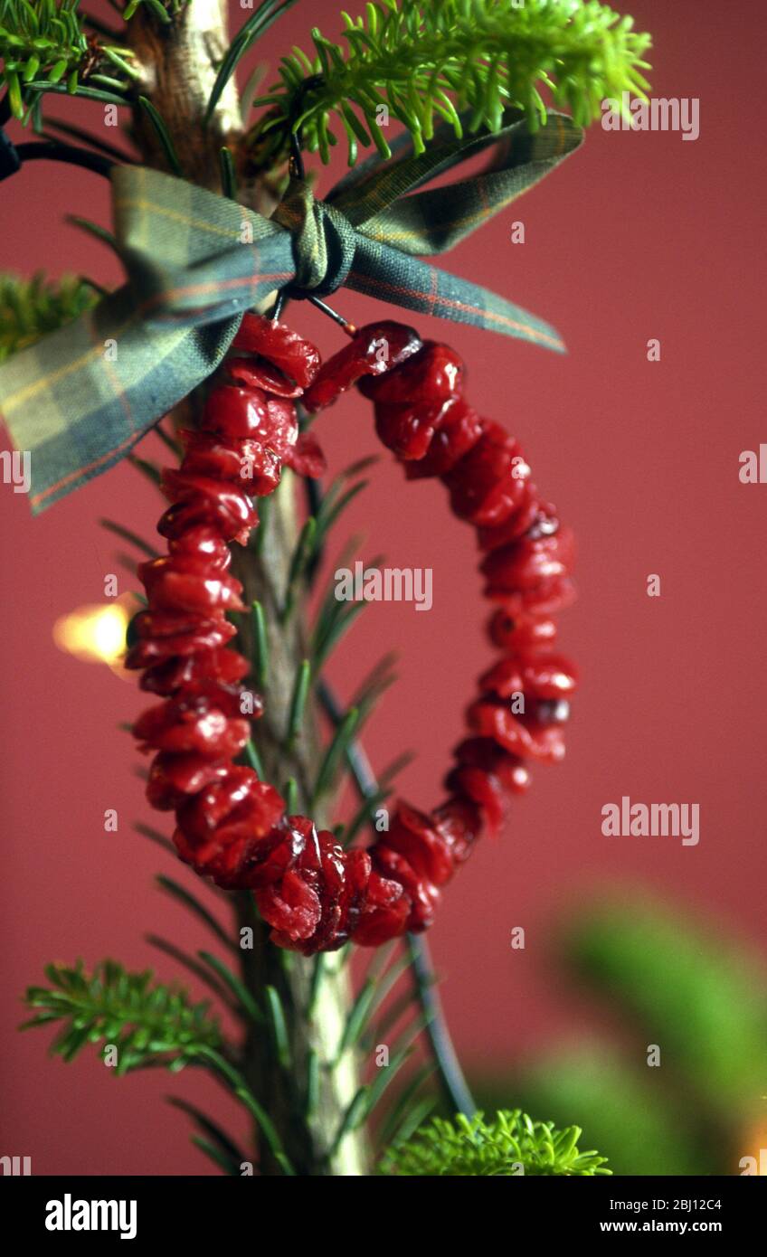 Weihnachtsdekoration - Ring aus Cranberries (?) An einem Baum hängen - Stockfoto