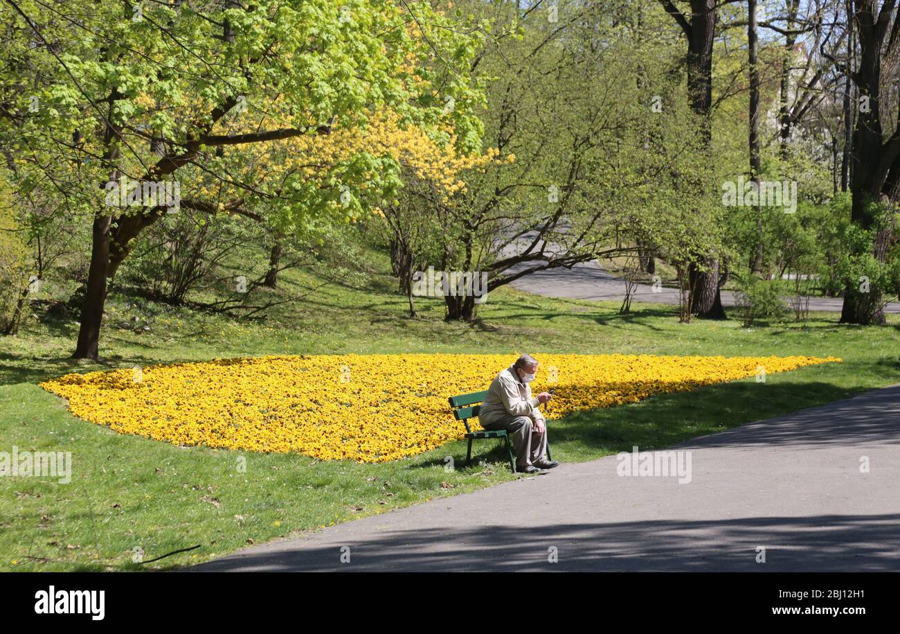 Krakau. Krakau. Polen. Coronavirus-Pandemie. Maskierter älterer Mann, der allein auf der Parkbank sitzt und SMS auf dem Smartphone schreibt. Stockfoto