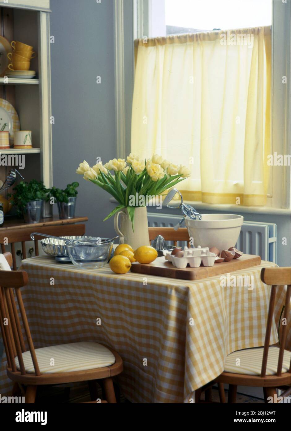 Gingham Küche - Stockfoto