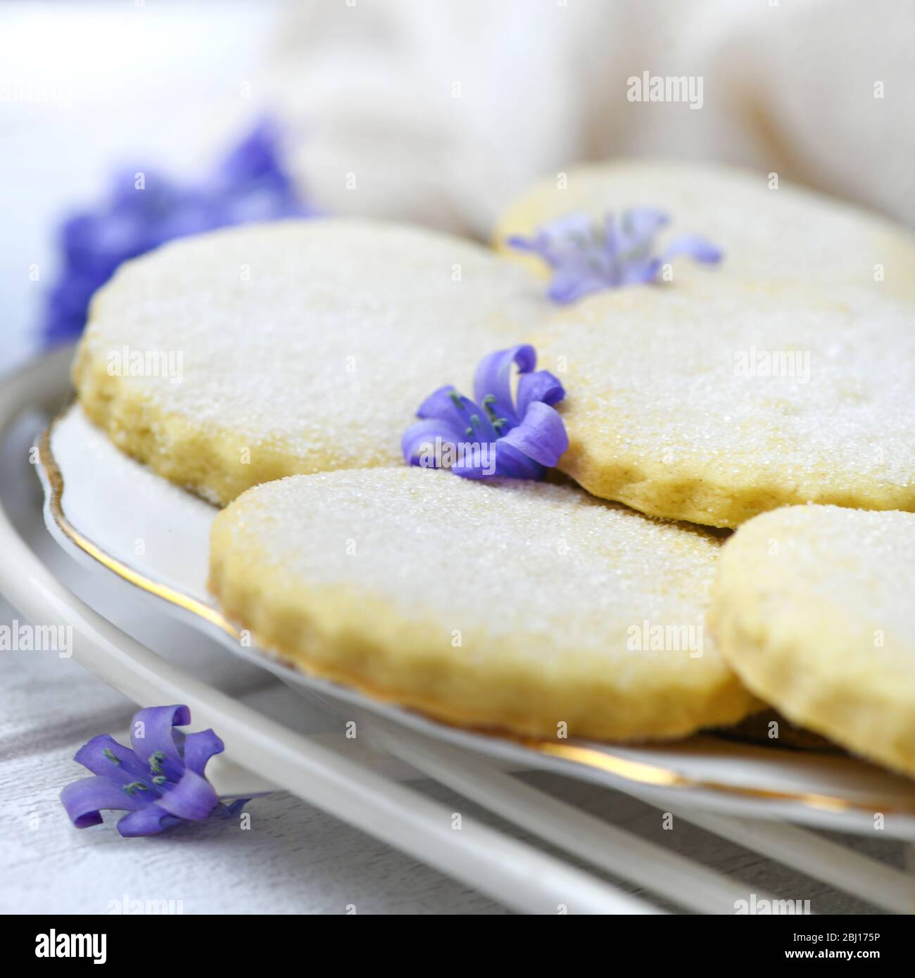 Nahaufnahme von köstlichen runden Plätzchen mit Zucker und kleinen lila Blüten auf Keramikplatte platziert Stockfoto