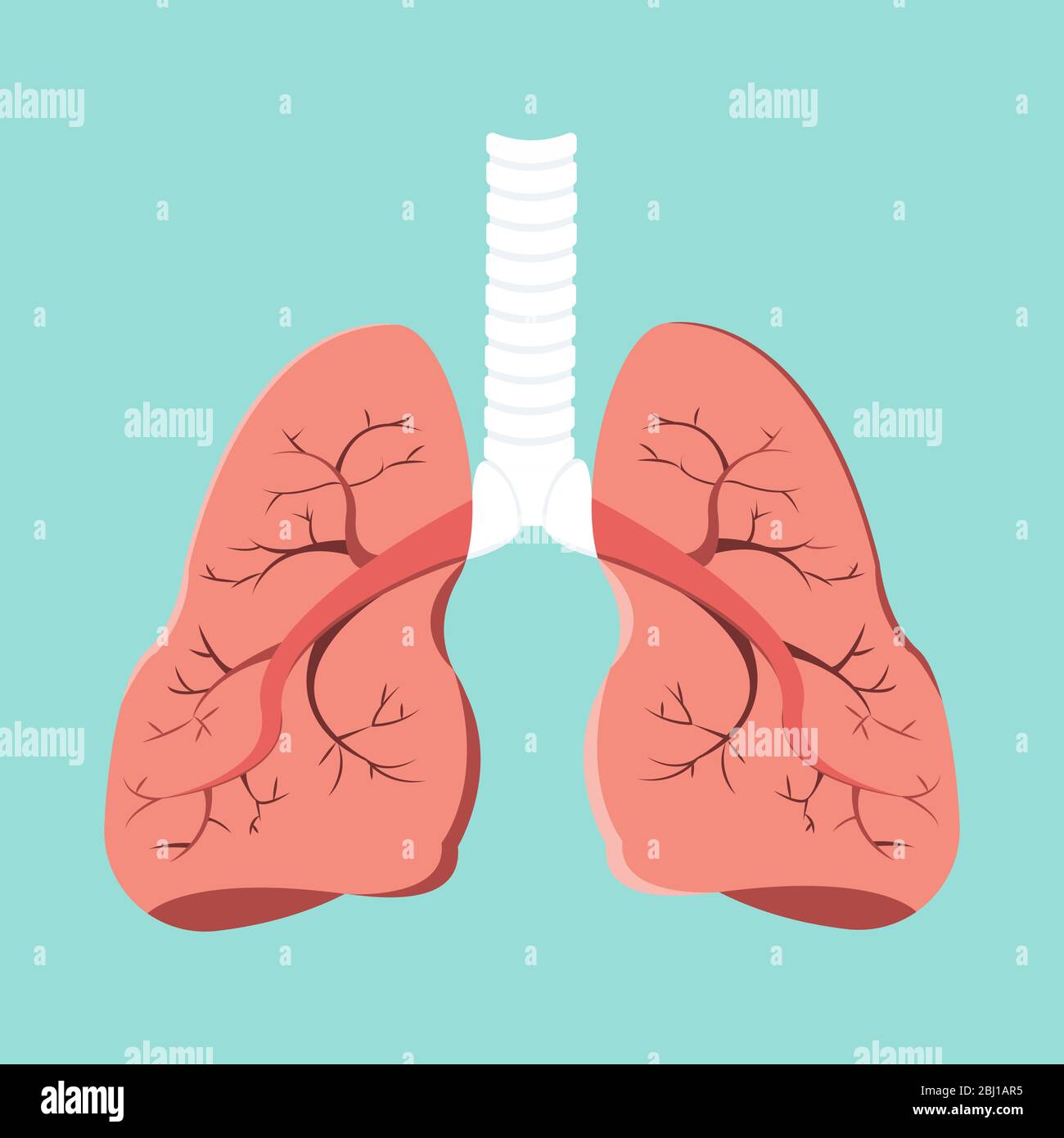 Innere Organe des menschlichen Gestaltungselements. Realistische Lung Anatomie isoliert auf grünem Hintergrund. Konzept der Gesundheitsmedizin. Stock Vektor