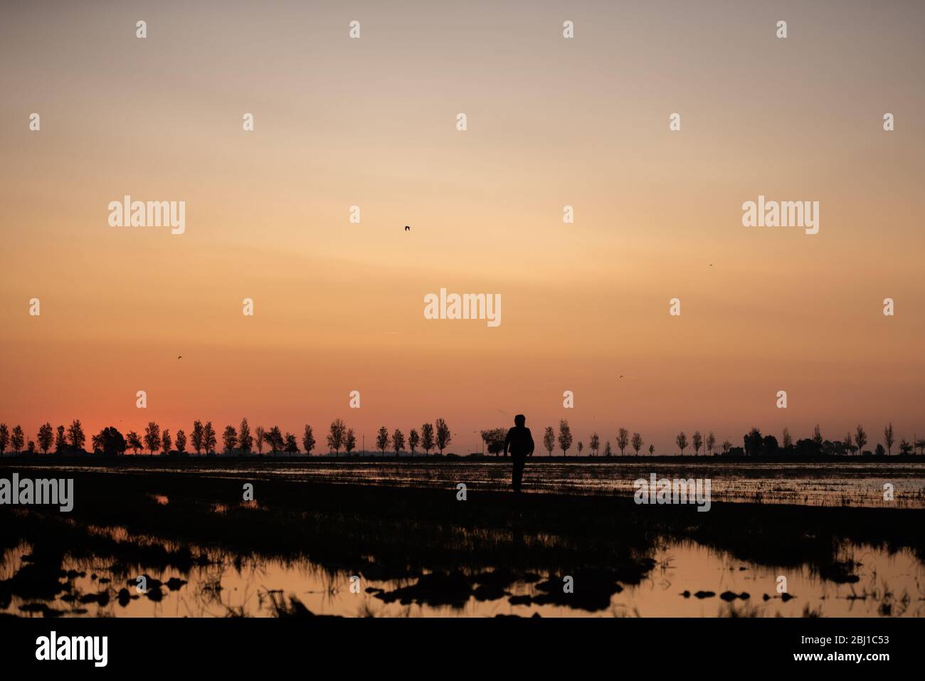 Delta de l'Ebre Stockfoto