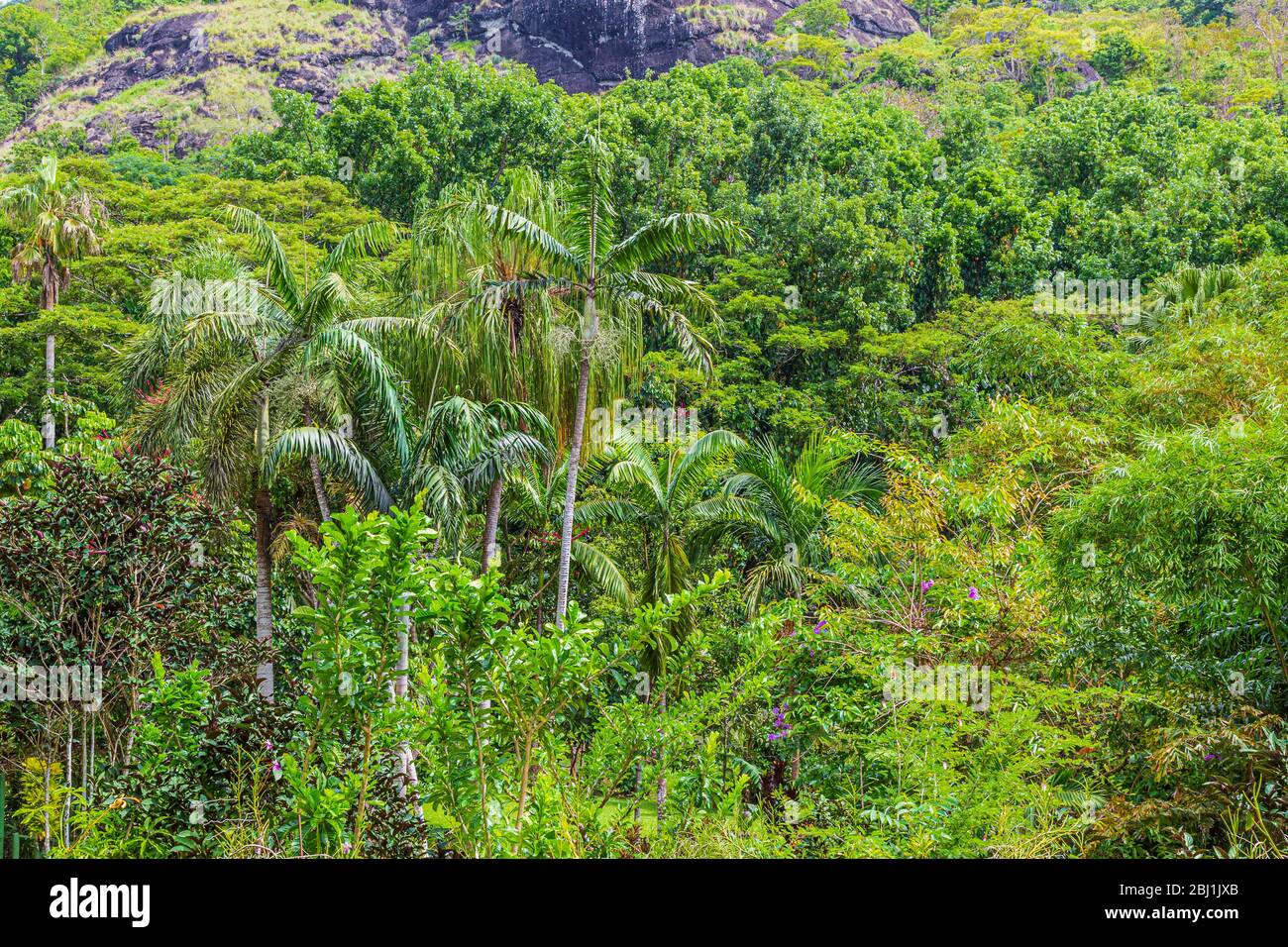 Felsige Hügel in der Vegetation in der Fidschi Landschaft bedeckt. Stockfoto