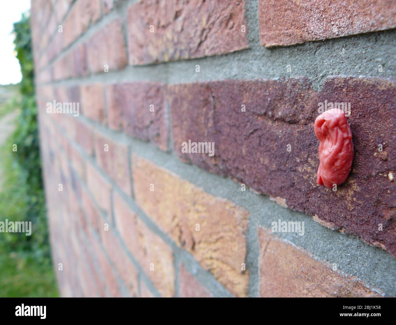 Rosa Kaugummi an einer Ziegelwand befestigt. Stockfoto