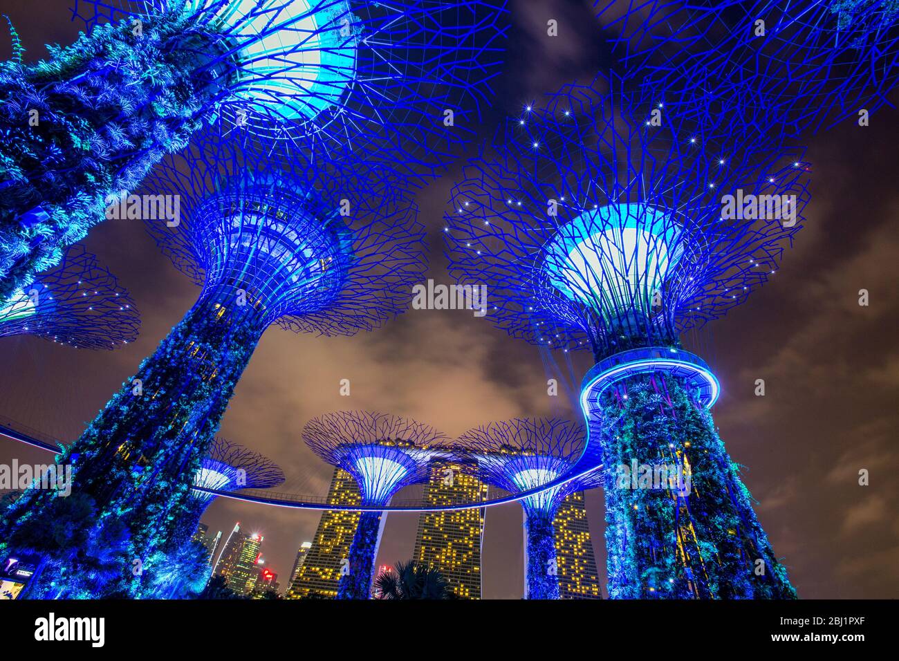 Beleuchtete super Olivenhainen an der Bucht Vorgärten auch wie die Gärten an den Bay bekannt bei Nacht, Bay Front, Marina Bay, Singapore, PRADEEP SUBRAMANIAN Stockfoto