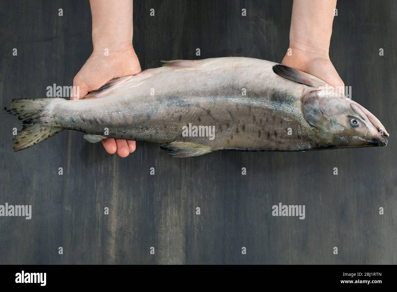 Hände halten rohen Fisch über Holzhintergrund. Draufsicht, flaches Lay mit Kopierfläche. Stockfoto