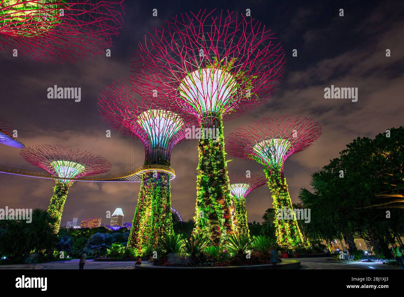 Beleuchtete super Olivenhainen an der Bucht Vorgärten auch wie die Gärten an den Bay bekannt bei Nacht, Bay Front, Marina Bay, Singapore, PRADEEP SUBRAMANIAN Stockfoto