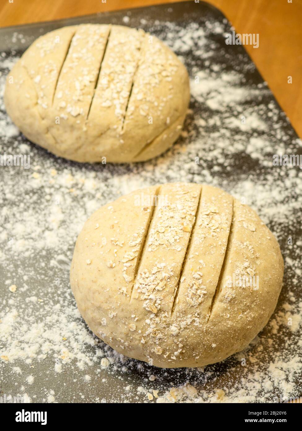Zwei zerflatterte Runden Haferbrotteig rollten in Hafer auf einem bemehlten Backblech auf einem Küchentisch Stockfoto