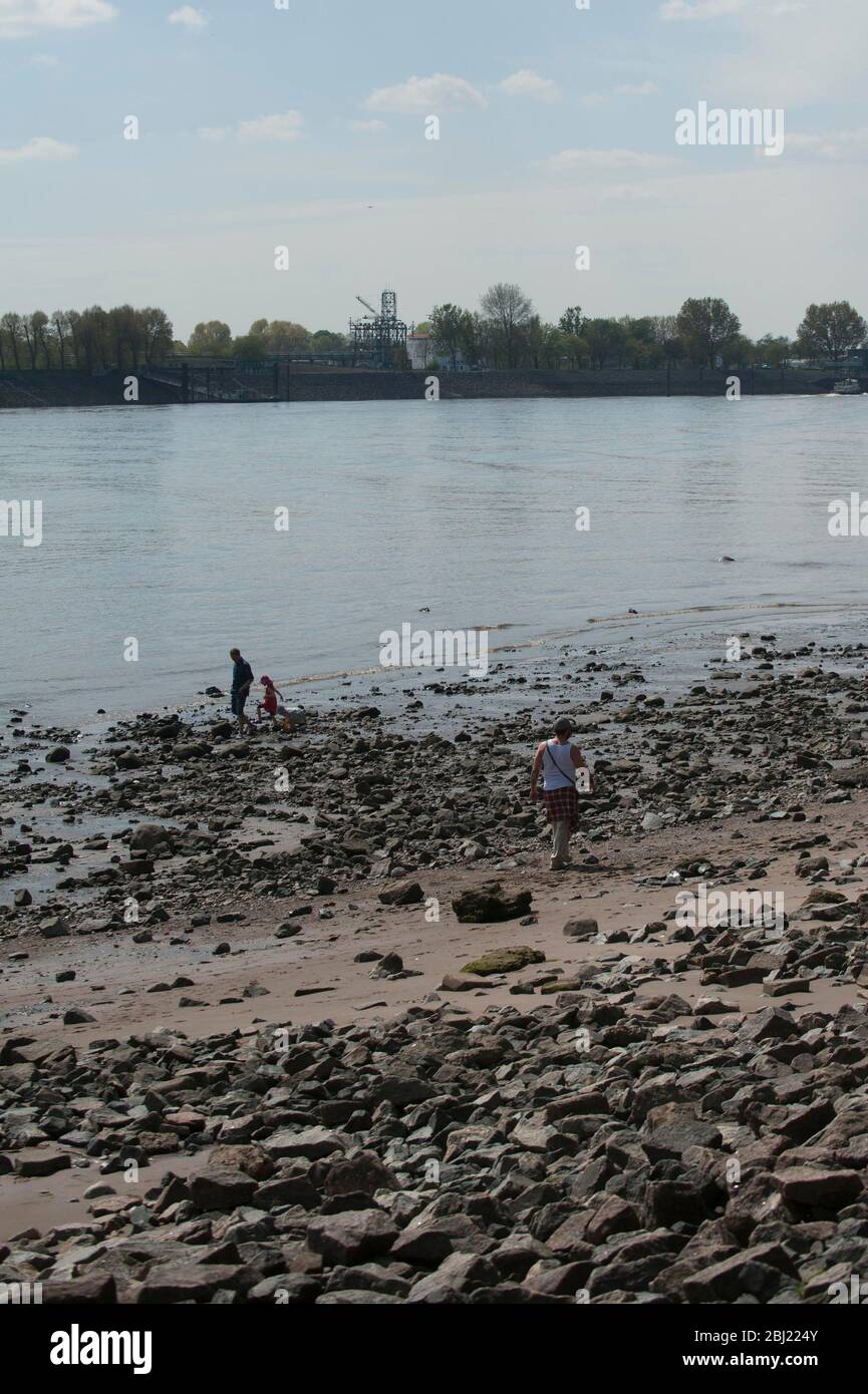 Elbe in Hamburg, Niedrigwasser , Flussbett trocken aus, am 27. April 2020 Stockfoto