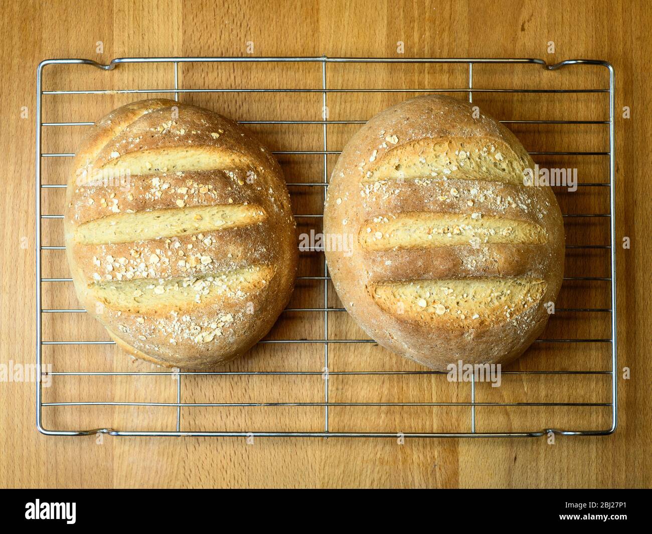 Frisch gebackenes Haferbrot aus Weißbrotmehl und Hafermehl, das mit Haferflocken auf einem Drahtkühlgestell überzogen ist Stockfoto