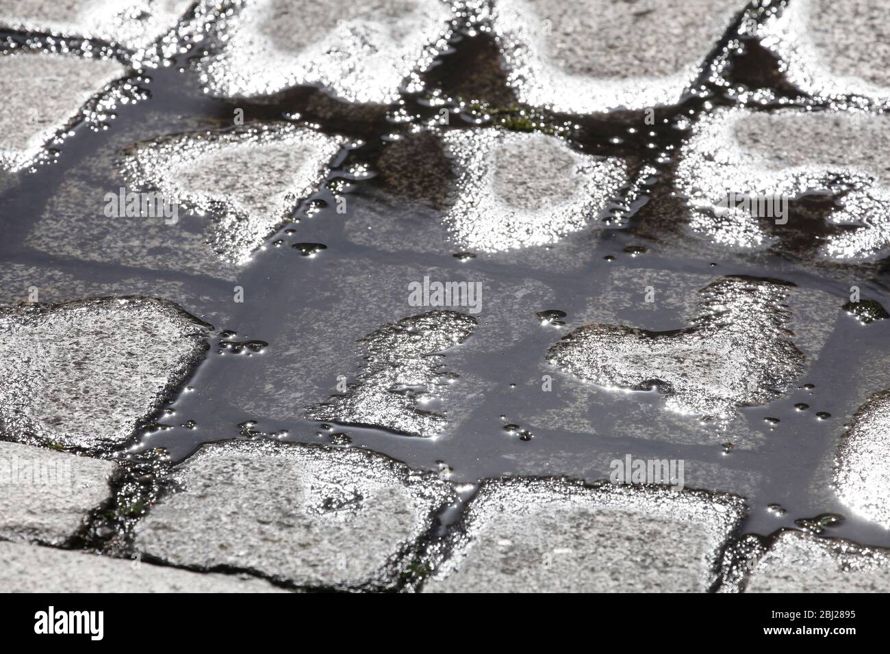 Glitzernde, regnernassende Kopfsteinpflaster, Deutschland, Europa Stockfoto