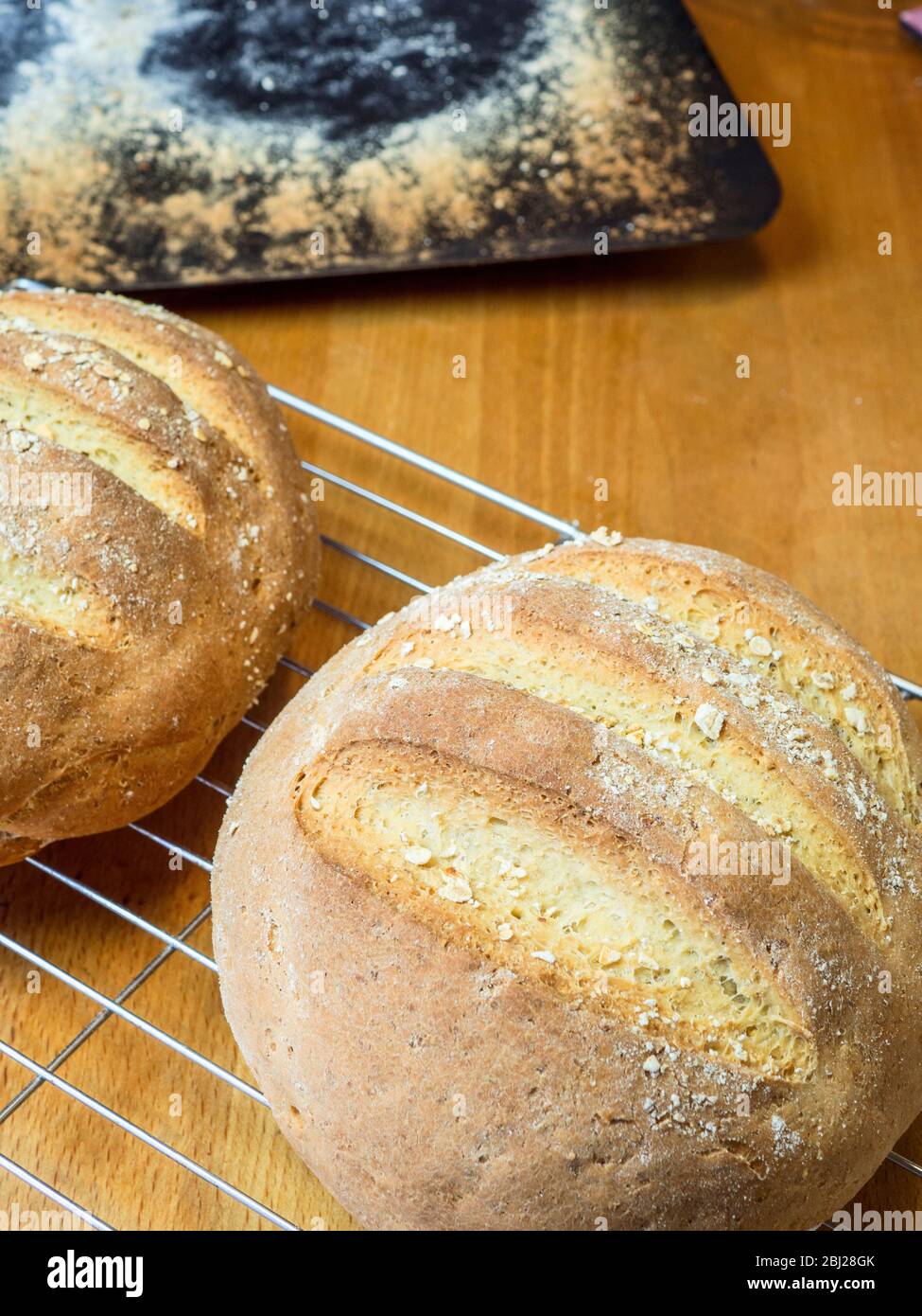 Frisch gebackenes Haferbrot aus Weißbrotmehl und Hafermehl, das mit Haferflocken auf einem Drahtkühlgestell überzogen ist Stockfoto