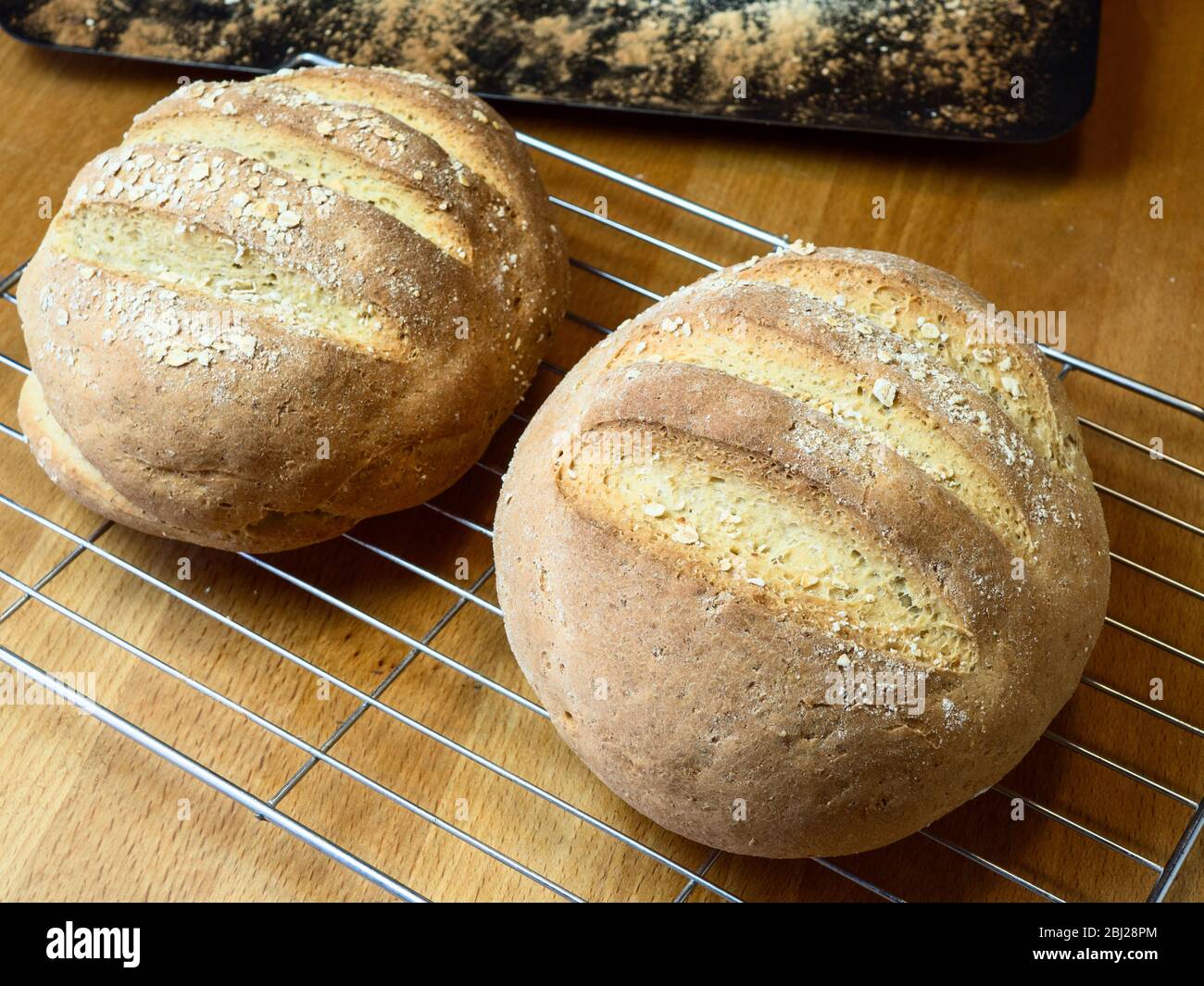 Frisch gebackenes Haferbrot aus Weißbrotmehl und Hafermehl, das mit Haferflocken auf einem Drahtkühlgestell überzogen ist Stockfoto
