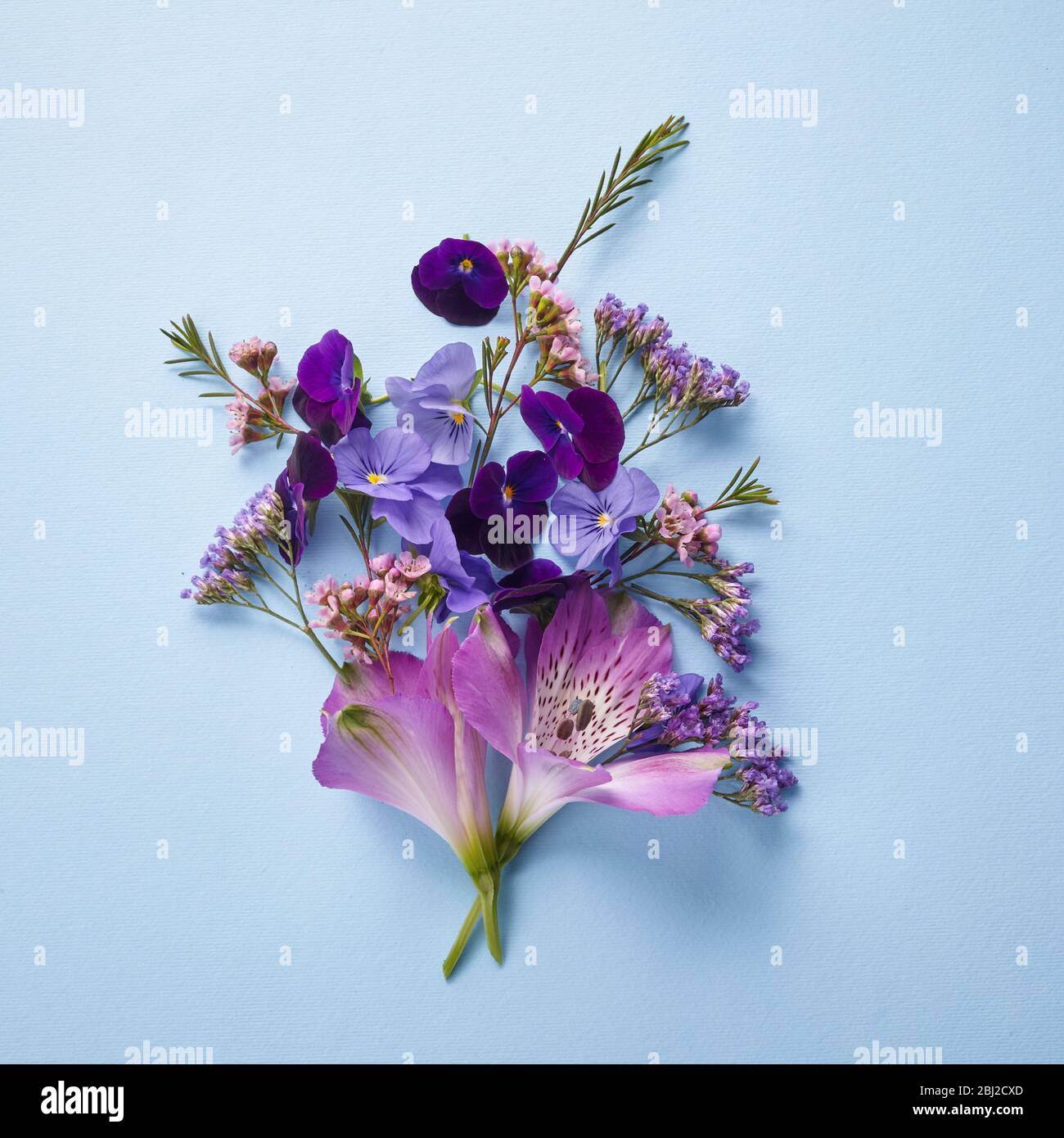 Vintage Bouquet lila flowerson blauen Hintergrund, tolles Design für jeden Zweck. Floraler Hintergrund Stockfoto