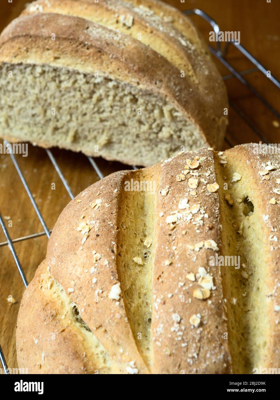 Frisch gebackenes Haferbrot mit Weißbrotmehl und Hafermehl auf einem Drahtscheiben mit Haferflocken überzogen Stockfoto