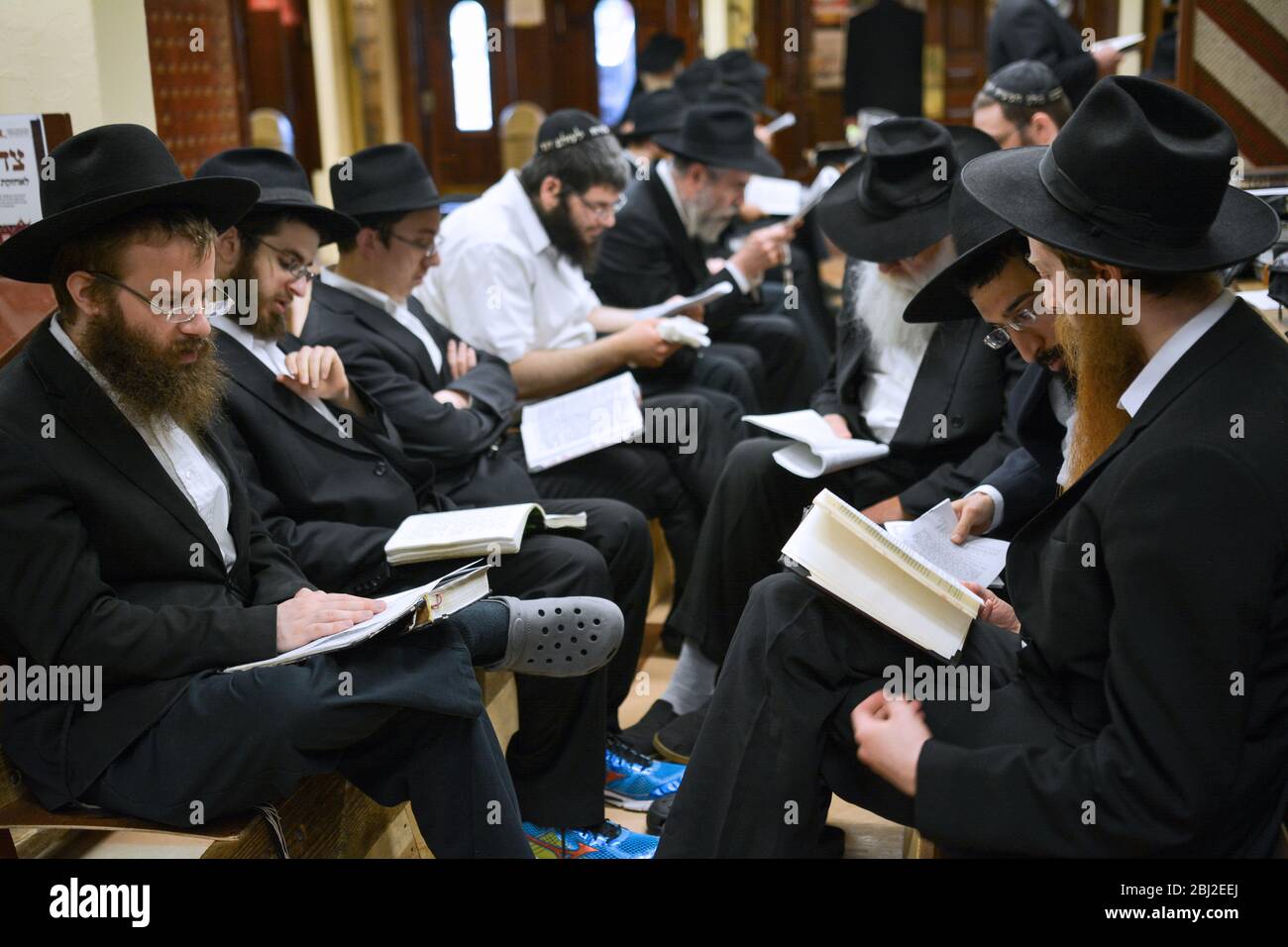 Eine Gruppe orthodoxer jüdischer junger Männer las spezielle Tisha B'AV Gebete in einer Synagoge in Brooklyn, New York City. Sie sitzen auf den Bänken der Trauernden. Stockfoto