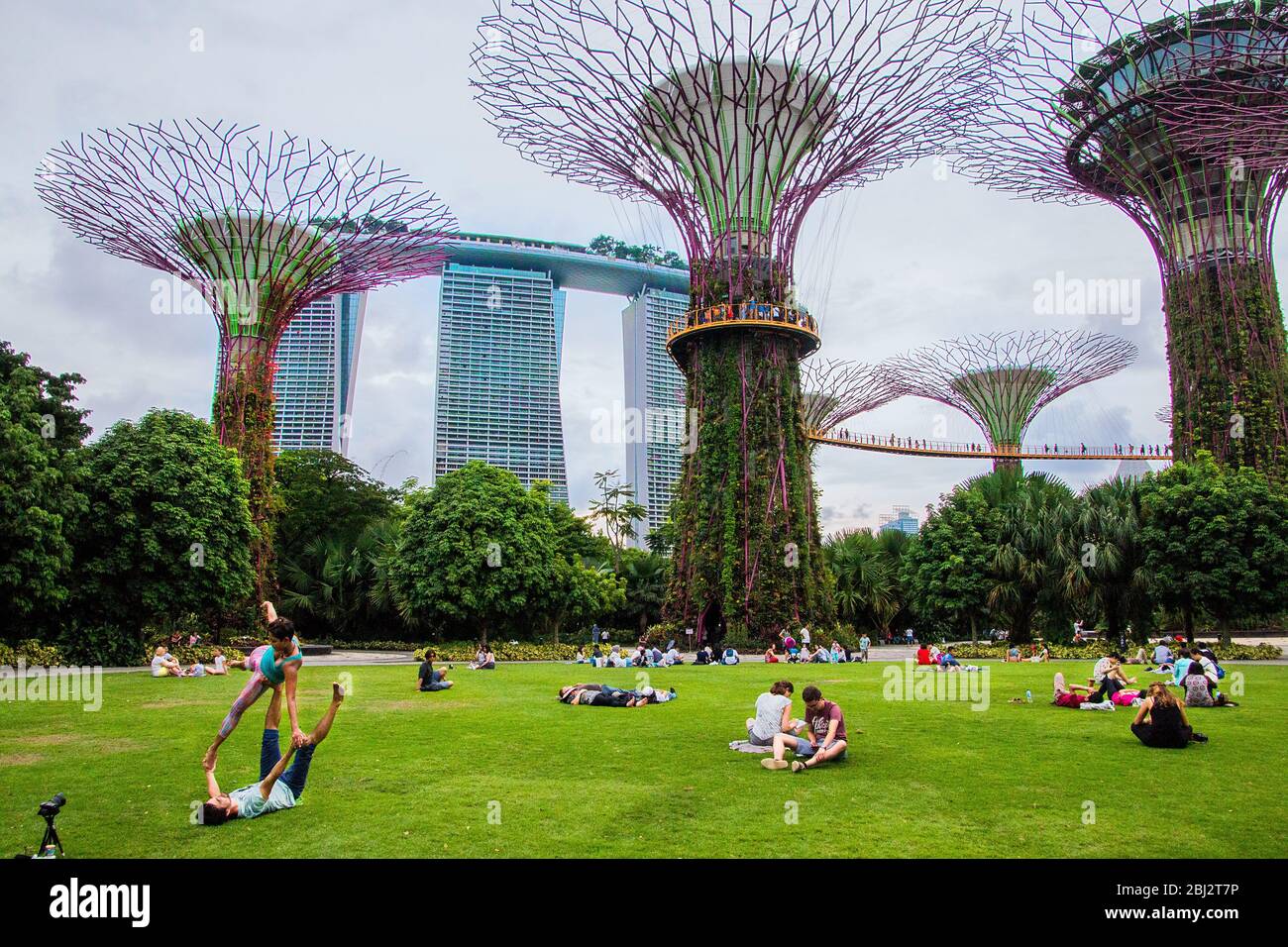 Beleuchtete super Olivenhainen an der Bucht Vorgärten auch wie die Gärten an den Bay bekannt bei Nacht, Bay Front, Marina Bay, Singapore, PRADEEP SUBRAMANIAN Stockfoto