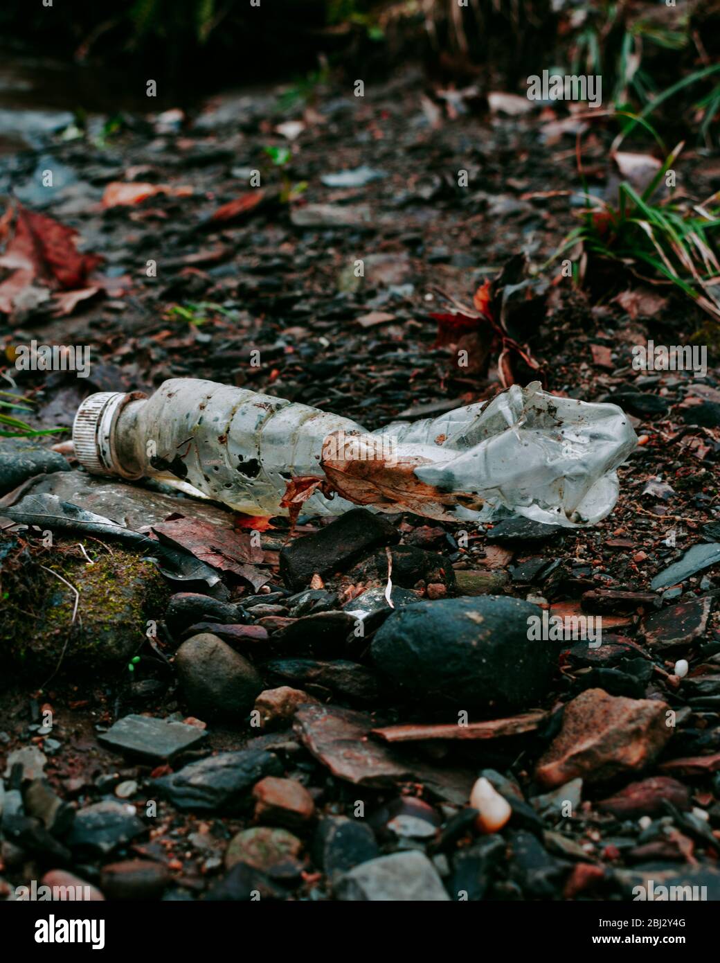 Plastikverschmutzung in der Natur - Bilder wurden gemacht, um das Bewusstsein für die Umweltkrise in der Welt zu verbreiten. Stockfoto