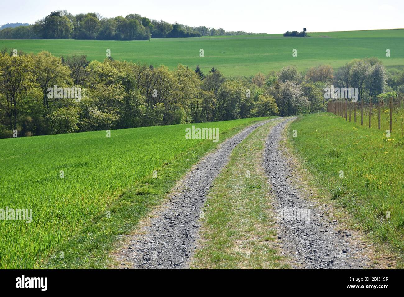 Weg in die Natur in der Eifel Deutschland Stockfoto