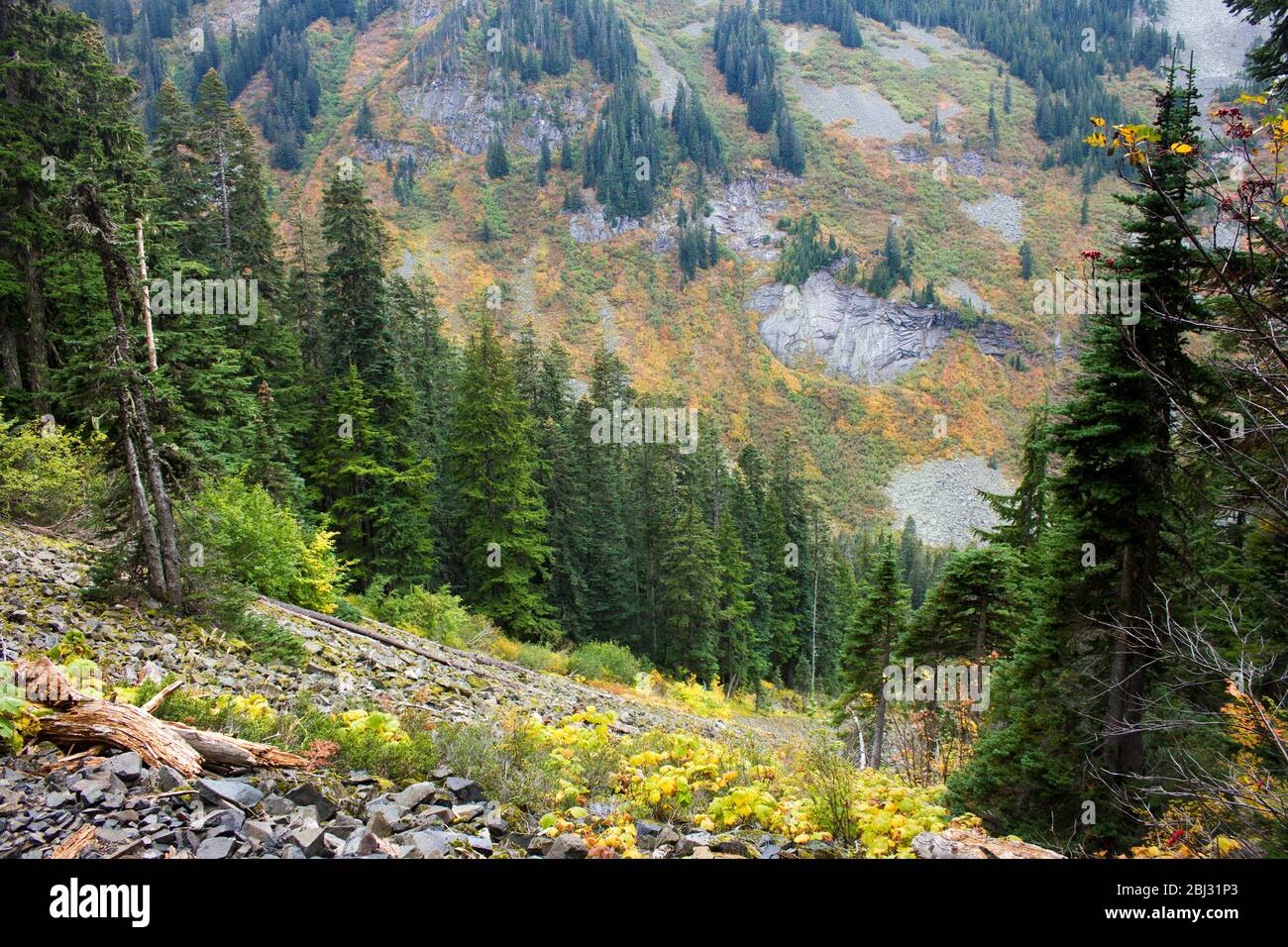 Berge in Seattle Stockfoto
