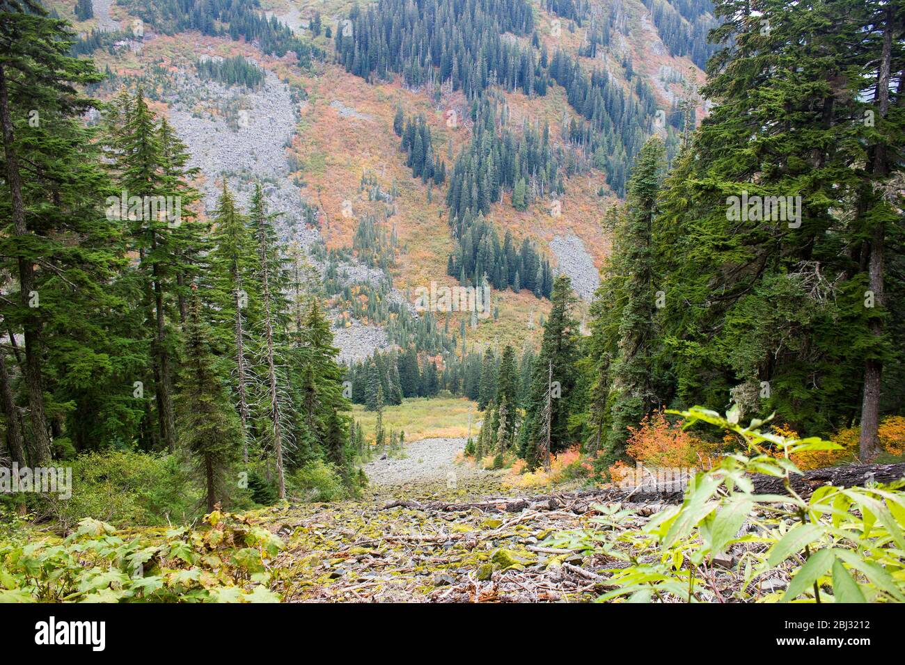 Berge in Seattle Stockfoto