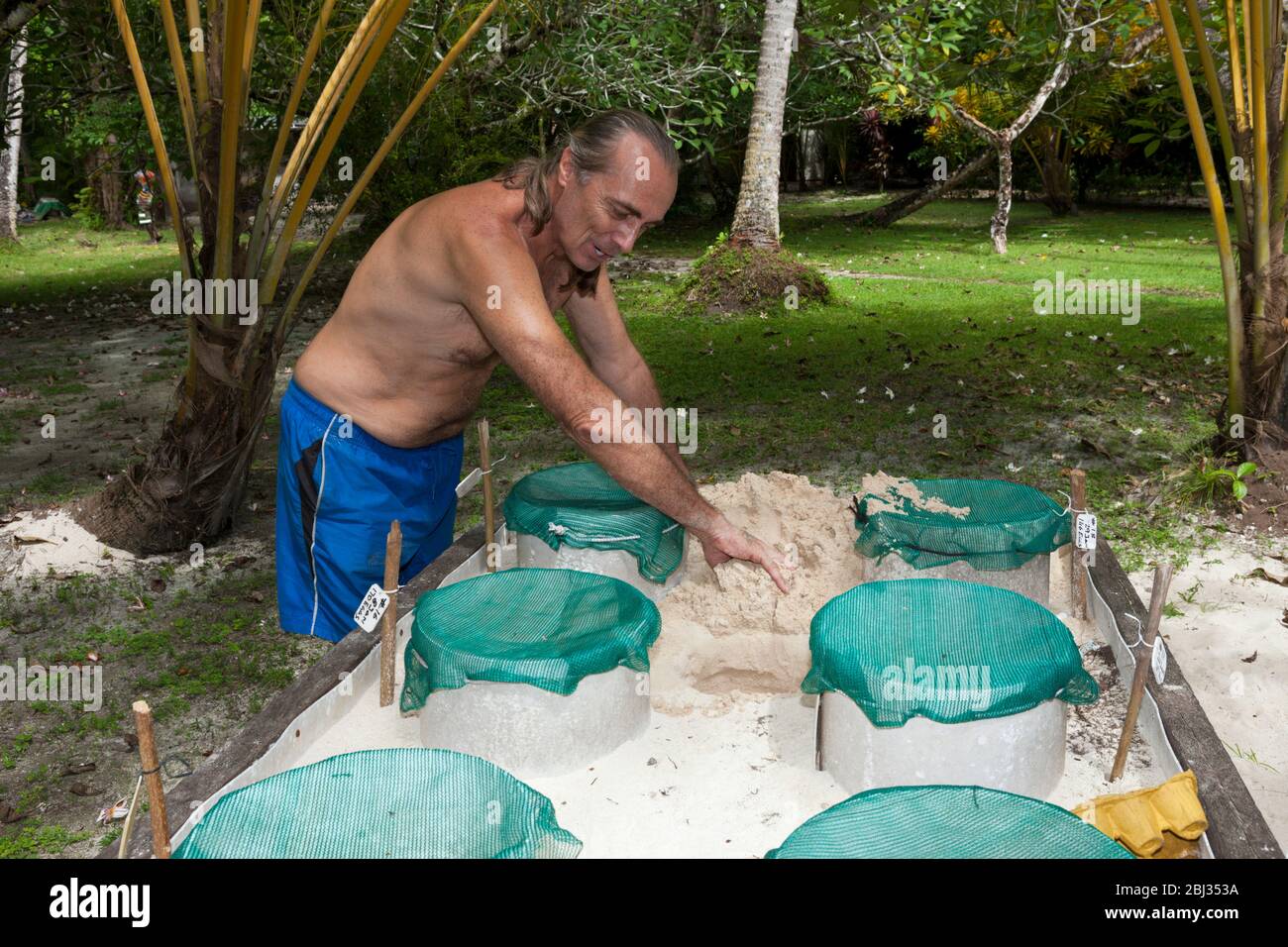 Meeresschildkröten-Schutzprogramm, New Ireland, Papua-Neuguinea Stockfoto