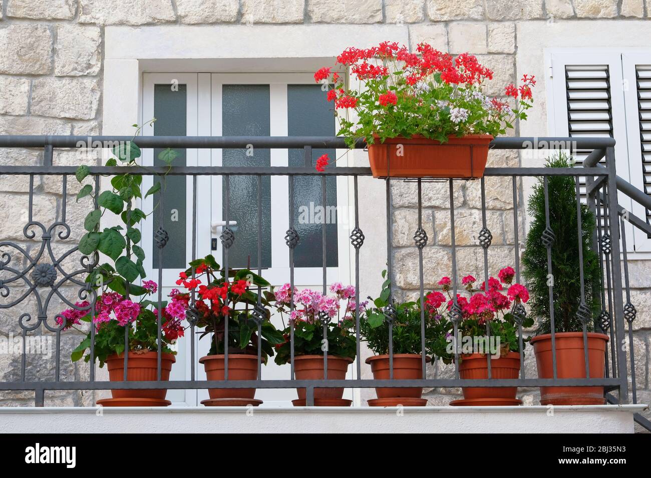 Töpfe mit Büschen blühender Pflanzen auf dem Balkon. Querformat. Geranie und andere dekorative Blumen. Büsche mit roten und lila Blüten in Töpfen. Stockfoto