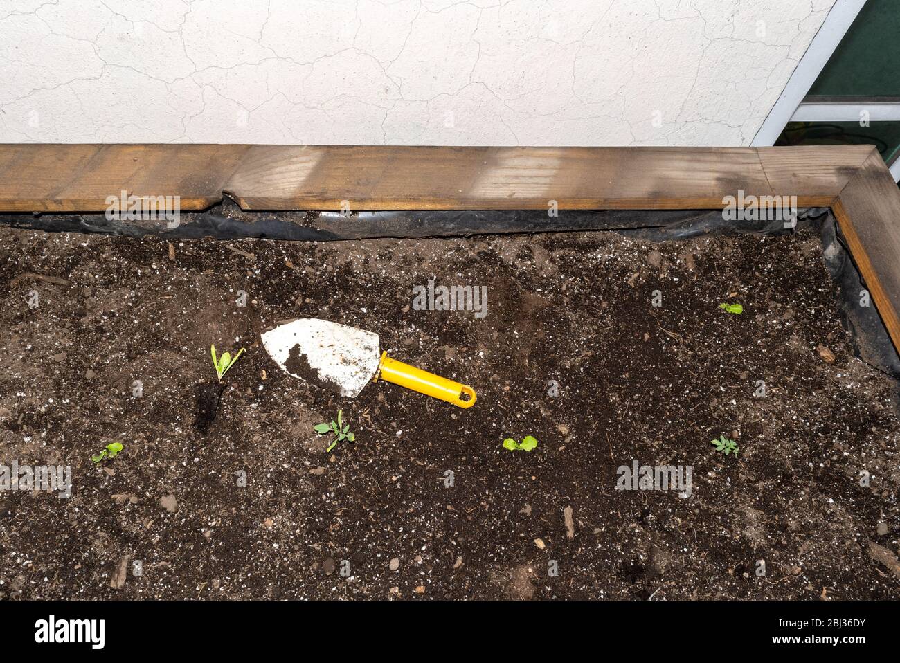 Wachsen Bett whit einige Dinge auf sie und Pflanzen wachsen Stockfoto