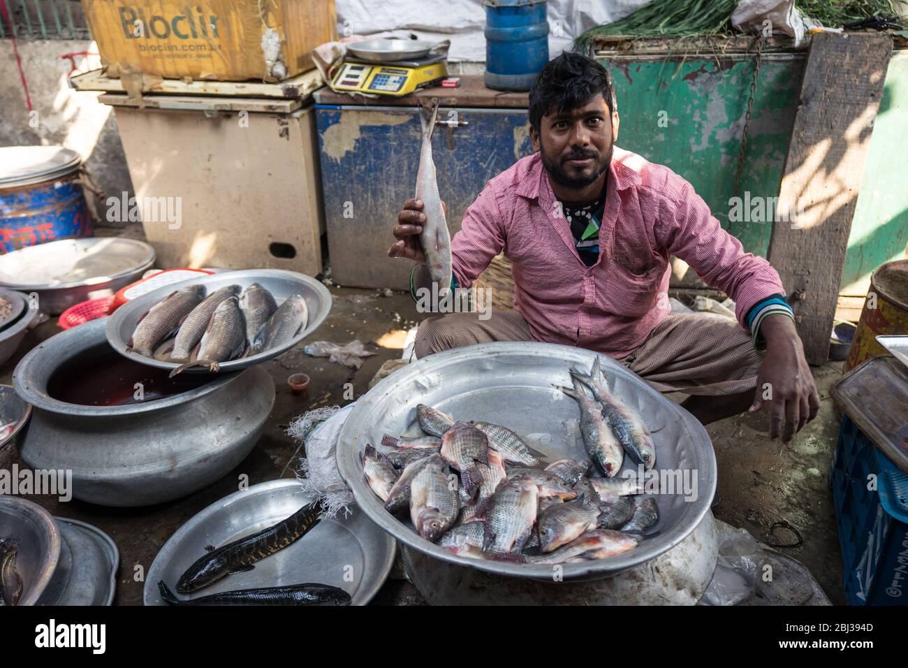 Dhaka / Bangladesch - 14. Januar 2019: Mann, der kleine Fische auf dem Straßenmarkt in Old Dhaka verkauft Stockfoto