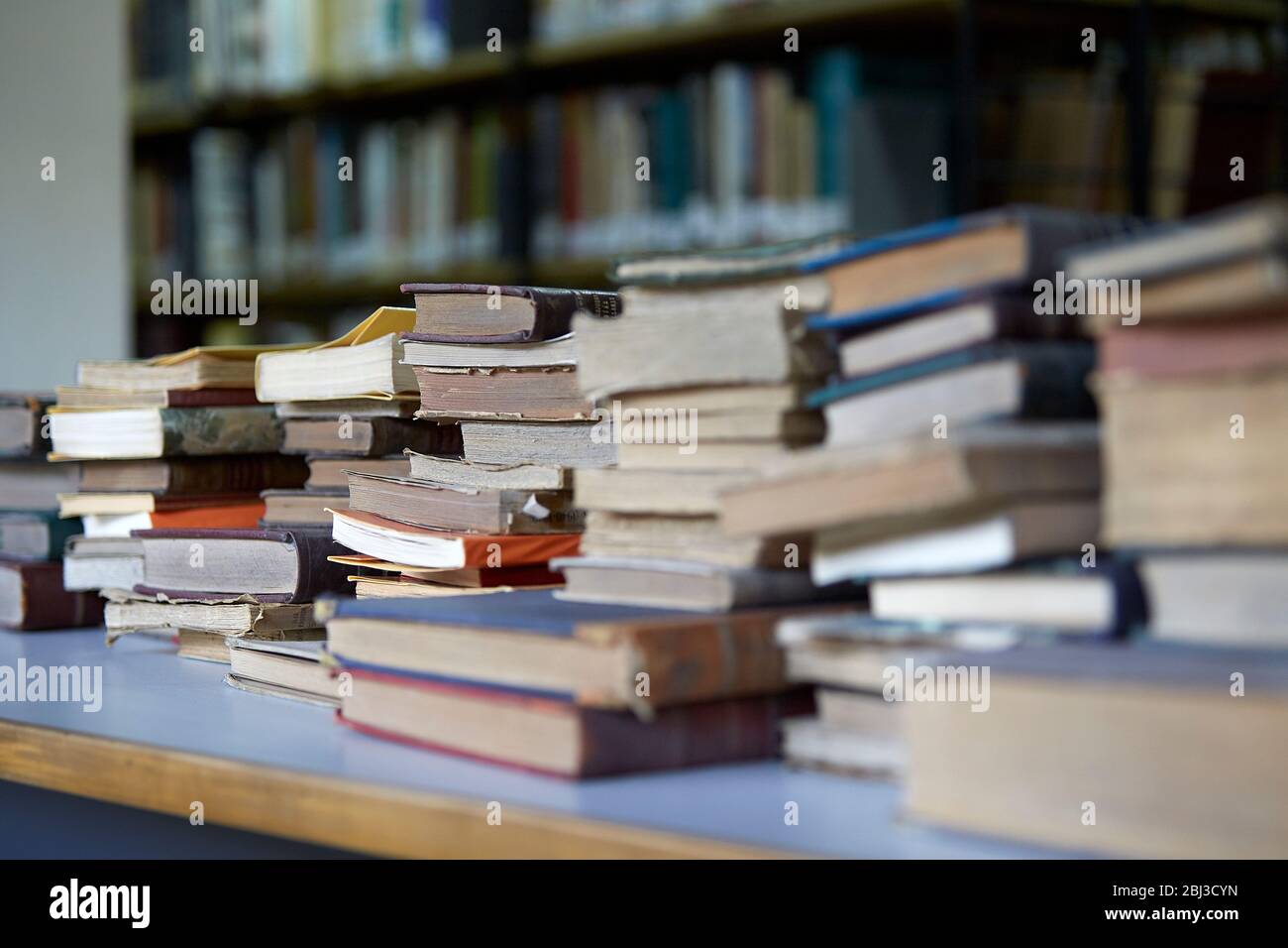 MENDOZA, ARGENTINIEN, 10. Juni 2015. General San Martín Bibliothek, Lese- und Arbeitszimmer, Alameda, Mendoza City. Foto: Axel Lloret / www.allofotografia.c Stockfoto