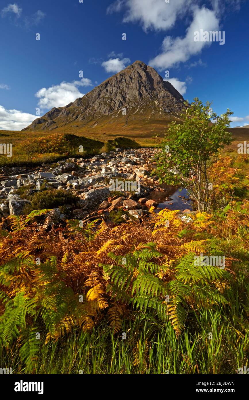 Buchaille Etive Mor vom Fluss Coupal auf Rannoch Moor. Stockfoto