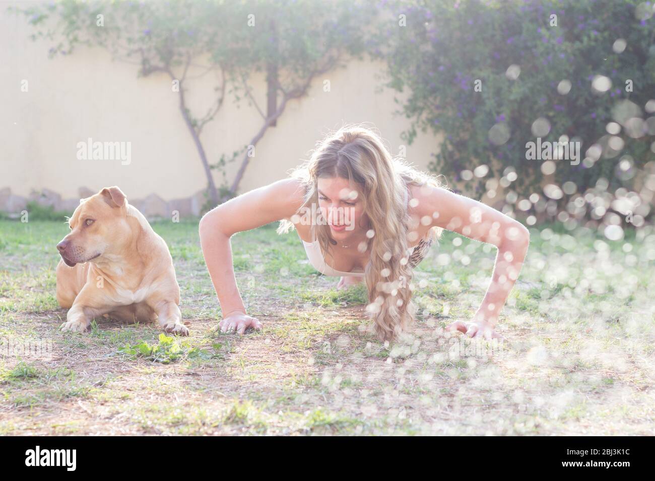 Junge Frau Training mit ihrem Hund im Freien Stockfoto