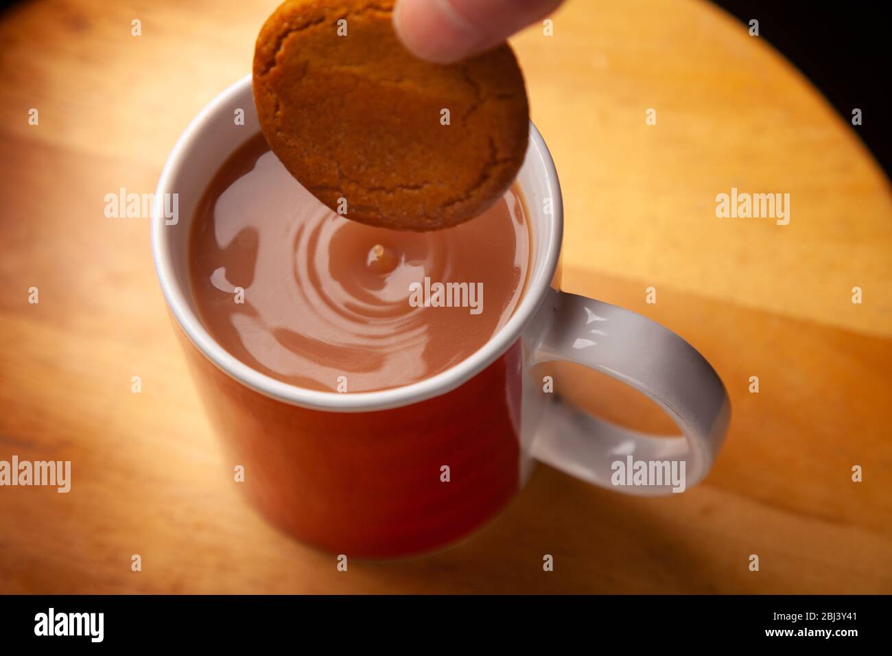 Einen Ingwernuss-Keks in einen Becher Tee eintunken Stockfoto