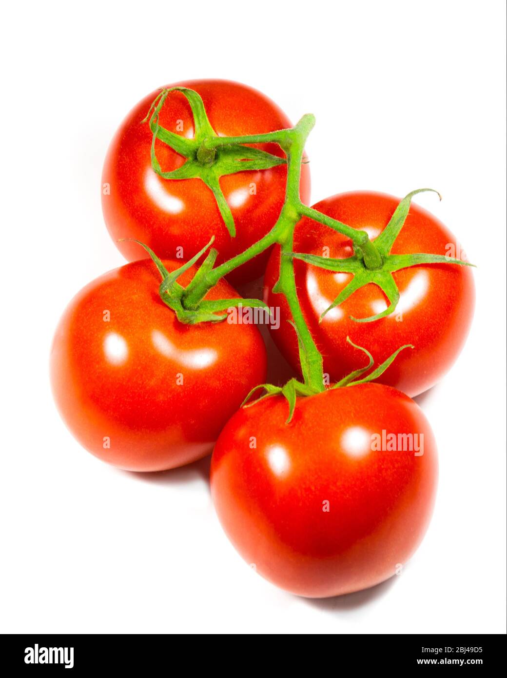 Vier rote Tomaten auf weißem Hintergrund. Stockfoto