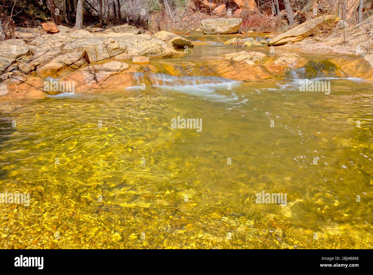 Ein Abschnitt von West Fork Creek, wo der Bach Bett hat einen goldenen Schein aufgrund der Art, wie die Sonne reflektiert sich von der Unterseite unter dem Wasser. Stockfoto