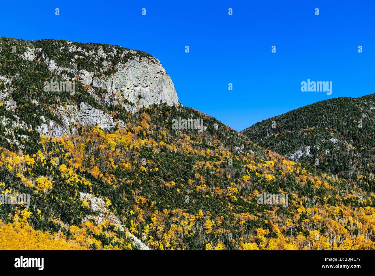 White Mountains Herbstlaub im Franconia State Park in New Hampshire. Stockfoto