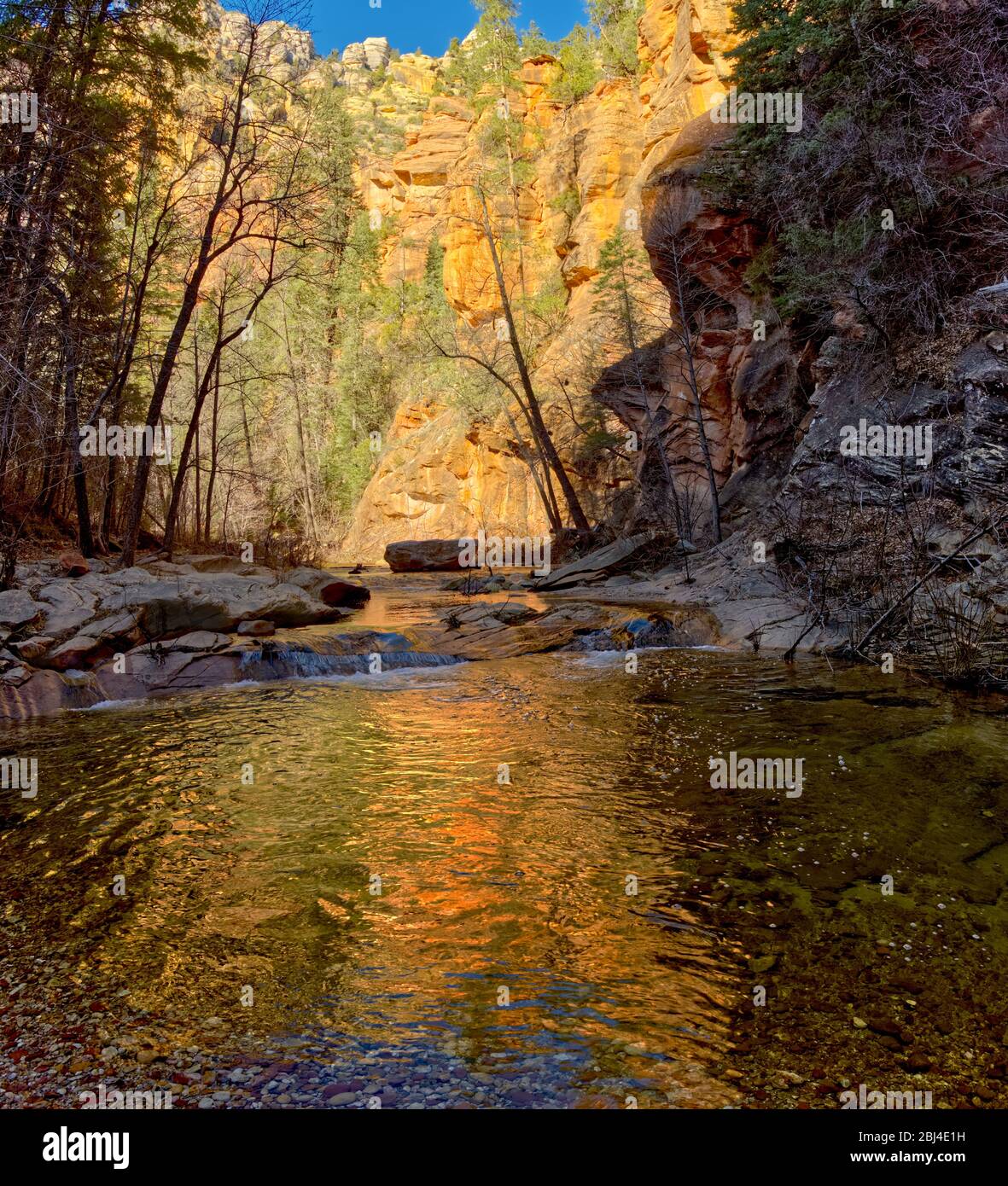 Ein Abschnitt des West Fork Creek nördlich von Sedona AZ, der das goldene Licht der späten Tagessonne reflektiert. Stockfoto