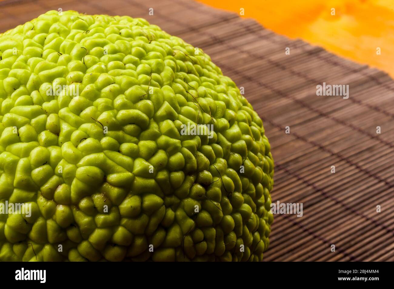 Grüne Frucht maclura pomifera, osage Orange, Apple, Adam apple wachsen auf Bambus Matte, Makro, Nahaufnahme Stockfoto