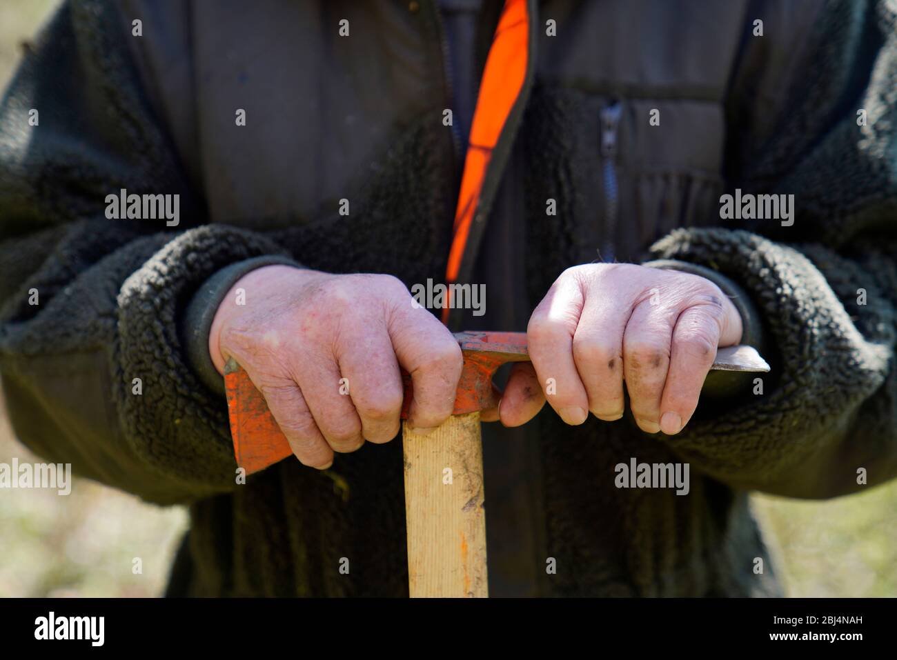 Nahaufnahme der Hände eines alten Mannes (85 Jahre) mit einer Hacke, Karlovy Vary, Tschechische Republik Stockfoto
