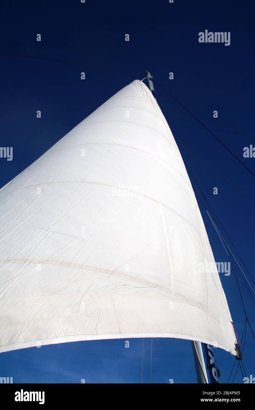 White Sail, Great Barrier Reef, Hamilton Island, QLD, Australien Stockfoto