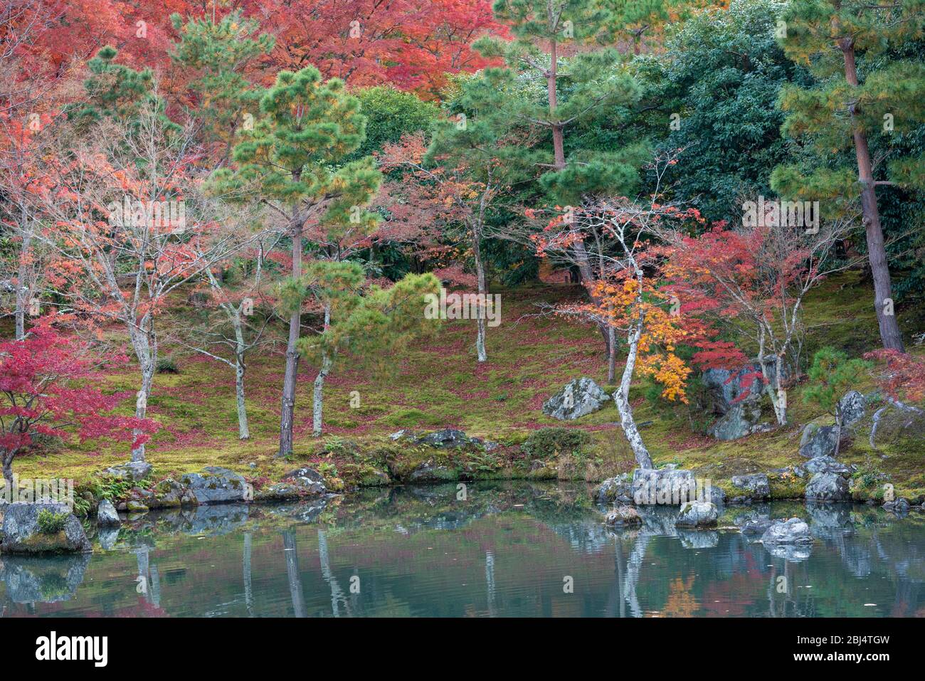 Tenryuji Temple Garten mit vollen Herbstfarben Laub. Stockfoto