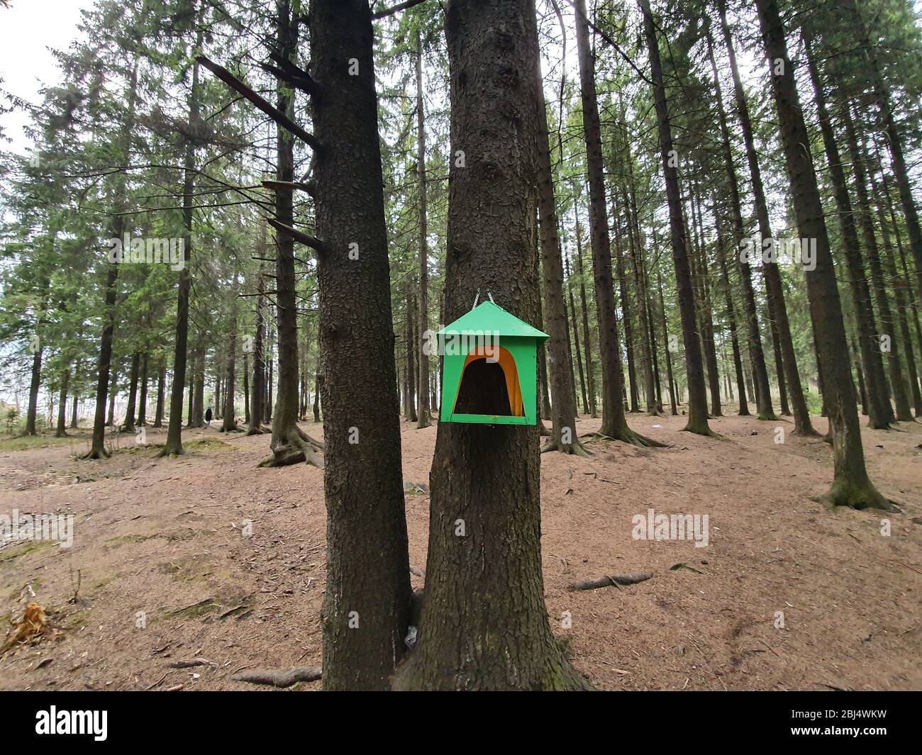 Ein grünes Vogelfutter. Der Futterautomat ist aus Holz in Form eines Hauses und mit grüner Farbe lackiert. Stockfoto